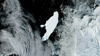 The World's Largest Iceberg Just Had a Baby